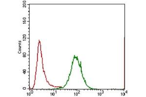 Flow Cytometry (FACS) image for anti-Interleukin 3 Receptor, alpha (IL3RA) (AA 200-305) antibody (ABIN1845738) (IL3RA antibody  (AA 200-305))