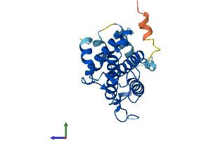 AlphaFold protein structure predicition of Mouse Recombinant Mob3a Protein, UniprotID Q8BSU7 (MOBKL2A Protein (AA 1-217) (His tag))