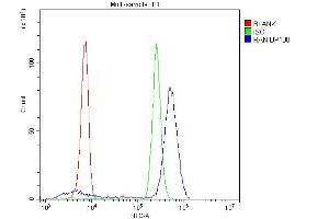 Flow Cytometry analysis of U937 cells using anti-Ran antibody (ABIN5518950).