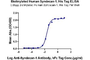 Immobilized Biotinylated Human Syndecan-1, His Tag at 0. (Syndecan 1 Protein (SDC1) (AA 23-254) (His-Avi Tag,Biotin))