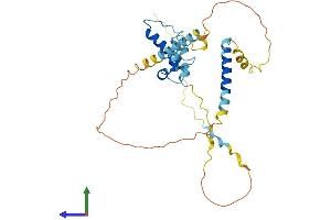 AlphaFold protein structure predicition of Human Recombinant TIPIN Protein, UniprotID Q9BVW5