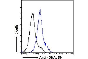 ABIN768557 Flow cytometric analysis of paraformaldehyde fixed A431 cells (blue line), permeabilized with 0. (DNAJB9 antibody  (AA 61-75))