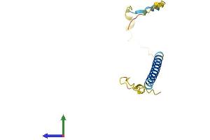 AlphaFold protein structure predicition of Human Recombinant TSACC Protein, UniprotID Q96A04 (TSACC/C1orf182 Protein (AA 1-125) (His tag))