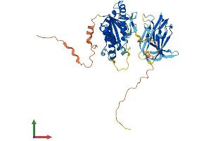 AlphaFold protein structure predicition of Mouse Recombinant Mgat4e Protein, UniprotID A6H684 (Mgat4e Protein (AA 1-439) (His tag))