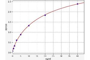 Typical standard curve (Muscarinic Acetylcholine Receptor ELISA Kit)