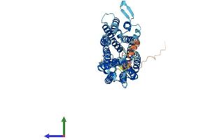 AlphaFold protein structure predicition of Mouse Recombinant Mfsd8 Protein, UniprotID Q8BH31 (MFSD8 Protein (AA 1-519) (His tag))