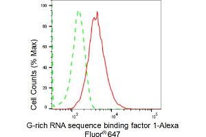 Flow cytometric analysis of G-rich RNA sequence binding factor 1 expression in HepG2 cells using G-rich RNA sequence binding factor 1 antibody (ABIN7798677), 1:2,000).