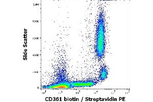 Flow cytometry surface staining pattern of human peripheral whole blood stained using anti-human CD361 (MEM-216) Biotin antibody (concentration in sample 6 μg/mL, Streptavidin PE). (EVI2B antibody  (Biotin))