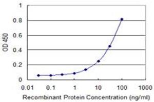 ELISA image for anti-ADP-Dependent Glucokinase (ADPGK) (AA 425-496) antibody (ABIN566495)