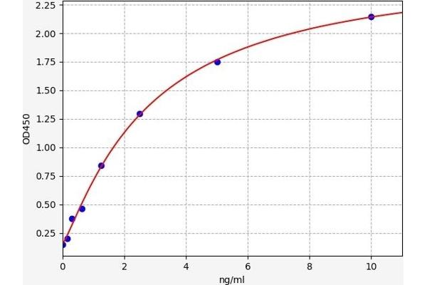 TBX2 ELISA Kit