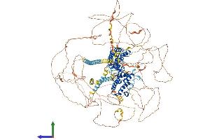 Protein Structure (PS) image for Bromodomain Containing 4 (BRD4) (AA 1-1362) protein (His tag) (ABIN7552744)