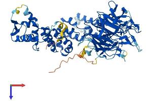 AlphaFold protein structure predicition of Human Recombinant KLHL32 Protein, UniprotID Q96NJ5