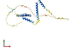 AlphaFold protein structure predicition of Mouse Recombinant Hes7 Protein, UniprotID Q8BKT2 (HES7 Protein (AA 1-225) (His tag))