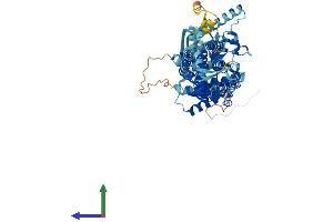 AlphaFold protein structure predicition of Mouse Recombinant Abcg8 Protein, UniprotID Q9DBM0