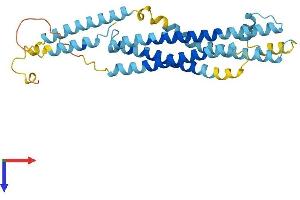 Protein Structure (PS) image for Syntaxin 19 (STX19) (AA 1-294) protein (His tag) (ABIN7544026)
