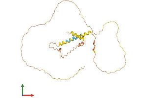 AlphaFold protein structure predicition of Human Recombinant MDFI Protein, UniprotID Q99750 (MDFI Protein (AA 1-246) (His tag))