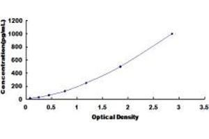 Typical standard curve (Netrin 1 ELISA Kit)