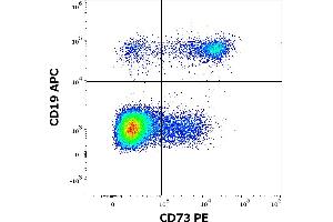 Flow cytometry multicolor surface staining of human lymphocytes stained using anti-human CD73 (AD2) PE antibody (10 μL reagent / 100 μL of peripheral whole blood) and anti-human CD19 (LT19) APC antibody (10 μL reagent / 100 μL of peripheral whole blood). (CD73 antibody  (PE))