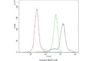 Flow cytometry testing of human HL60 cells with AGO1 antibody at 1ug/10^6 cells (blocked with goat sera) (AGO1 antibody  (AA 376-409))