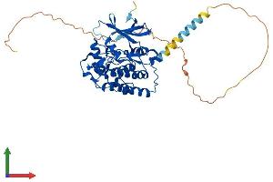 Protein Structure (PS) image for Casein Kinase 1, delta (CSNK1D) (AA 1-415) protein (His tag) (ABIN7554259)
