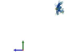 AlphaFold protein structure predicition of Mouse Recombinant Mis12 Protein, UniprotID Q9CY25 (MIS12 Protein (AA 1-206) (His tag))