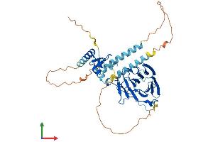 AlphaFold protein structure predicition of Human Recombinant RNF135 Protein, UniprotID Q8IUD6 (RNF135 Protein (AA 1-432) (His tag))