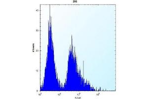 Flow cytometric analysis of 293 cells using AP51969PU-N (right histogram) compared to a negative control cell (left histogram). (GSTT1 antibody  (N-Term))