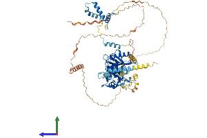 AlphaFold protein structure predicition of Human Recombinant RSPH6A Protein, UniprotID Q9H0K4