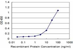 Detection limit for recombinant GST tagged MARK3 is approximately 3ng/ml as a capture antibody. (MARK3 antibody  (AA 402-500))