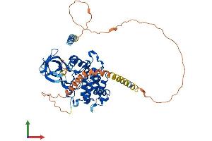 AlphaFold protein structure predicition of Human Recombinant VRK2 Protein, UniprotID Q86Y07