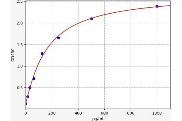 LRP2 ELISA Kit