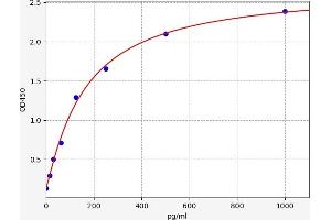Typical standard curve (LRP2 ELISA Kit)