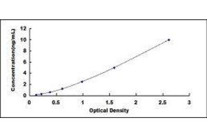 ELISA image for NADPH Oxidase 4 (NOX4) ELISA Kit (ABIN417447) (NADPH Oxidase 4 ELISA Kit)