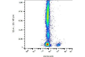 Flow cytometry analysis (surface staining) of human peripheral blood leukocytes with anti-human CD19 (4G7) APC. (CD19 antibody  (APC))