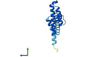 Protein Structure (PS) image for Presequence Translocase-Associated Motor 16 Homolog (PAM16) (AA 1-125) protein (His tag) (ABIN7544556)