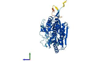 AlphaFold protein structure predicition of Human Recombinant PFKFB4 Protein, UniprotID Q16877
