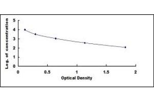 Cross Linked C-Telopeptide of Type III Collagen (CTX-III) ELISA Kit