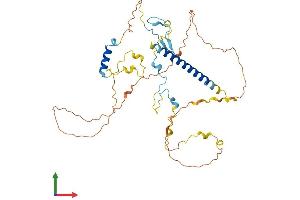 AlphaFold protein structure predicition of Human Recombinant MIIP Protein, UniprotID Q5JXC2 (MIIP Protein (AA 1-388) (His tag))