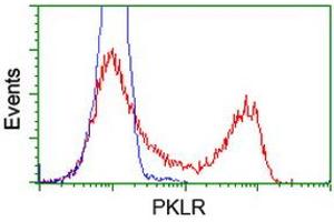 Flow Cytometry (FACS) image for anti-Pyruvate Kinase, Liver and RBC (PKLR) antibody (ABIN1500244) (PKLR antibody)
