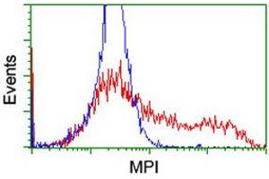 Flow Cytometry (FACS) image for anti-Mannose Phosphate Isomerase (MPI) antibody (ABIN1499545) (MPI antibody)