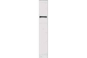 Western blot using  Affinity Purified anti-Sts-1 antibody shows detection of a band ~70 kDa corresponding to mouse Sts-1. (UBASH3B antibody  (C-Term))