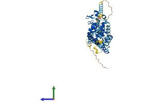 AlphaFold protein structure predicition of Mouse Recombinant Bfar Protein, UniprotID Q8R079