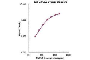 ELISA image for Chemokine (C-X-C Motif) Ligand 2 (CXCL2) ELISA Kit (ABIN3198521) (CXCL2 ELISA Kit)