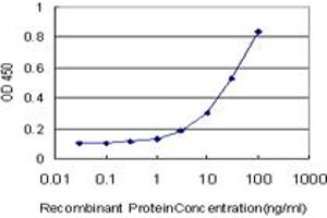 Detection limit for recombinant GST tagged PHOSPHO1 is approximately 1ng/ml as a capture antibody. (PHOSPHO1 antibody  (AA 168-266))