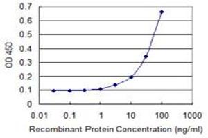 Detection limit for recombinant GST tagged ZFYVE1 is 1 ng/ml as a capture antibody. (ZFYVE1 antibody  (AA 1-99))