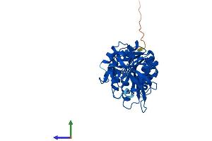 AlphaFold protein structure predicition of Mouse Recombinant B3gntl1 Protein, UniprotID Q3U129