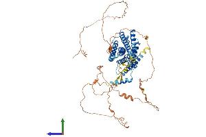 Protein Structure (PS) image for G Protein-Coupled Receptor 153 (GPR153) (AA 1-631) protein (His tag) (ABIN7559453)