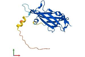 AlphaFold protein structure predicition of Human Recombinant ASAH2B Protein, UniprotID P0C7U1 (ASA2B Protein (AA 1-165) (His tag))