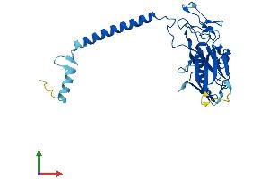 AlphaFold protein structure predicition of Mouse Recombinant Atp4b Protein, UniprotID P50992 (ATP4b Protein (AA 1-294) (His tag))