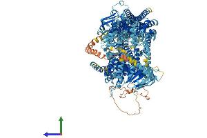 AlphaFold protein structure predicition of Mouse Recombinant Abcc9 Protein, UniprotID P70170